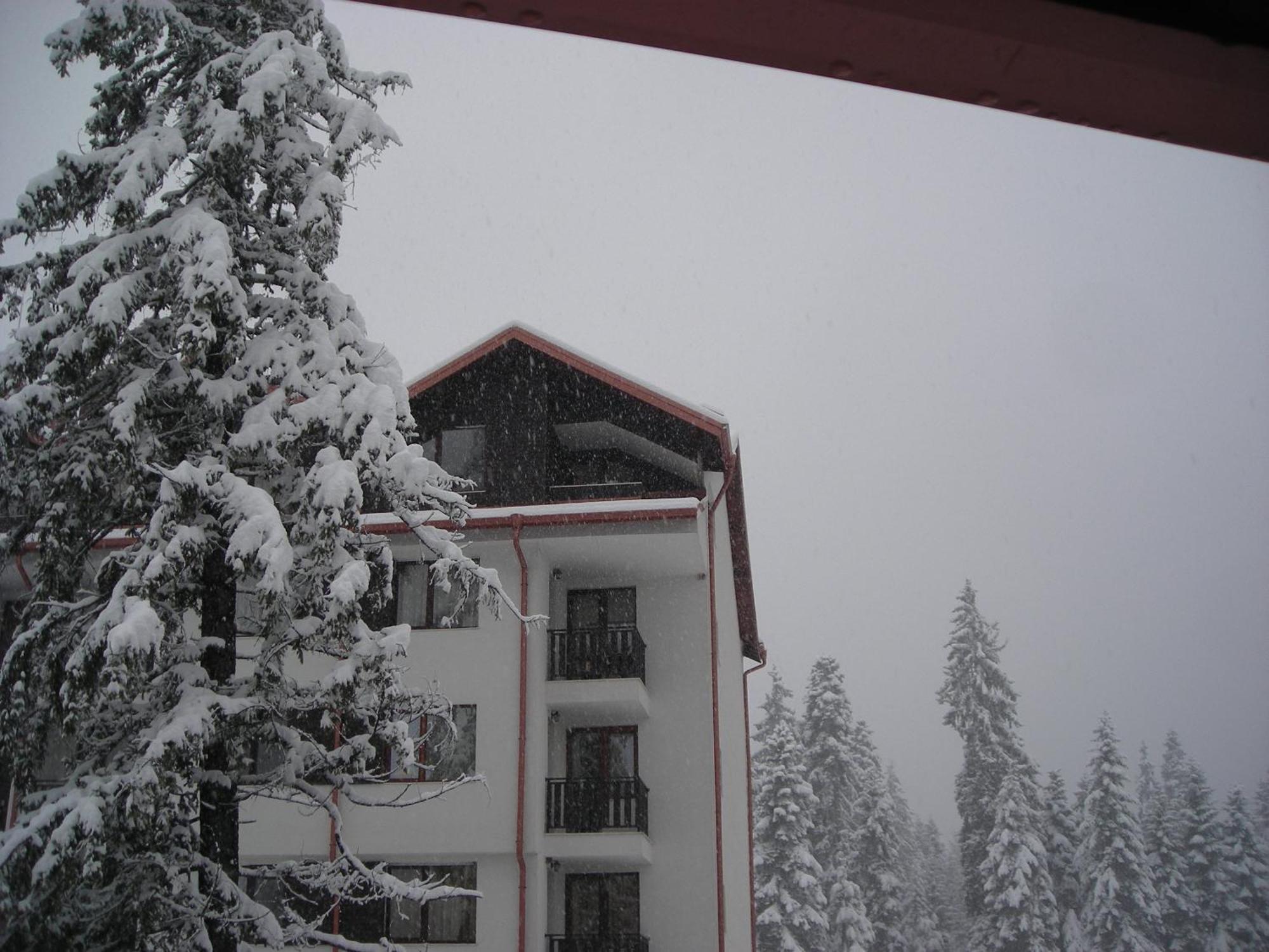 Borovets Gardens Chalet Flat المظهر الخارجي الصورة